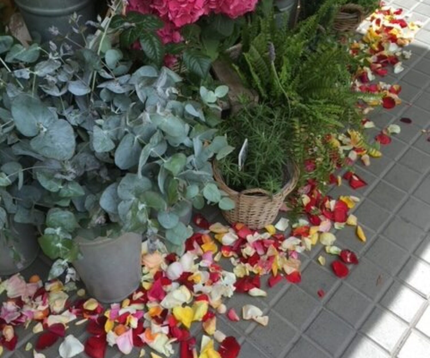 bloemenwinkel in Barcelona