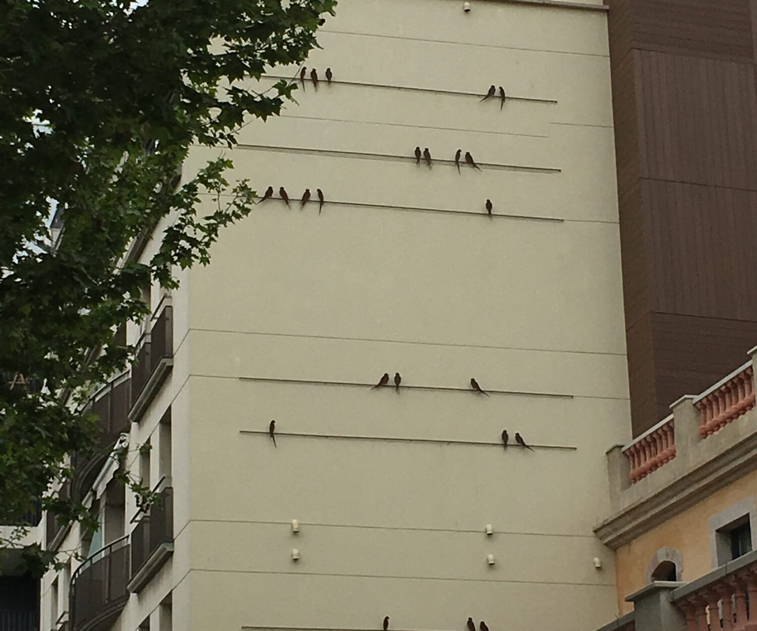 Barcelona street art